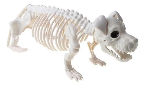 Ornamentos De Festa Temáticos De Halloween Cachorro Esquelet