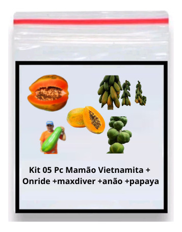 Kit 05 Pc Mamão Vietnamita + Onride +maxdiver +anão +papaya