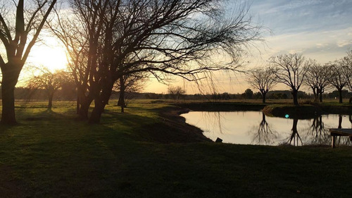 Imagen 7 de 11 de Venta Lote - El Campo - Fincas Exclusivas Cardales
