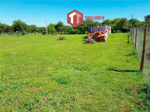 Imagen 4 de 6 de Amplio, Plano Y Vistoso Lote