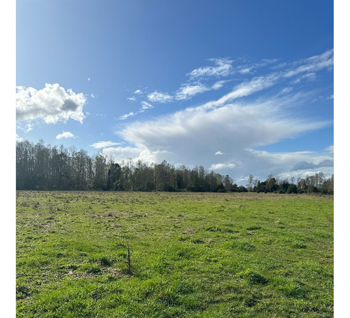 Vendo Campo En Crucero Rio Bueno 9,1 Hectareas Con Rio