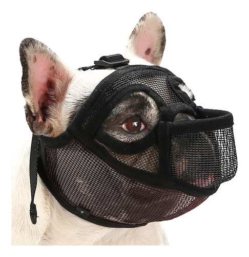 Bozal Para Bulldog Francés, Perro De Hocico Corto, Sin Corte