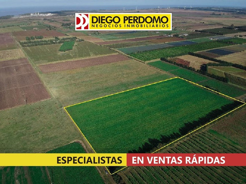 Imagen 2 de 7 de Chacra De 5.4 Ha En Venta Colonia Wilson