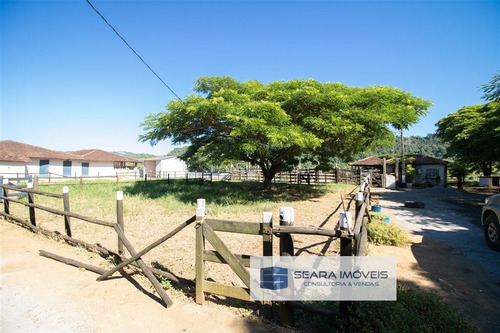 Fazenda A Venda No Bairro Centro Em Viana - Es. - 504-1
