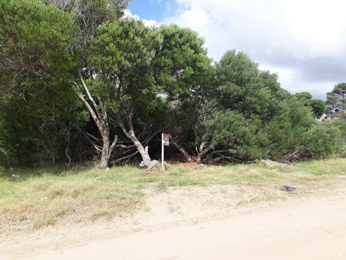 Lote Unifamiliar En Mar De Ostende