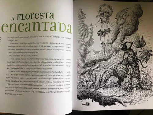 A capa de um antigo livro na floresta encantada