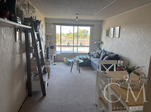 Depto En Condominio Mirador Rio Valdivia, Calle Gral Lagos