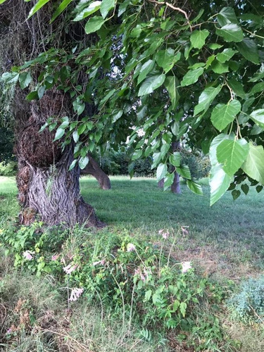 Imagen 25 de 30 de Venta - Finca - Cañada Seca Retasada