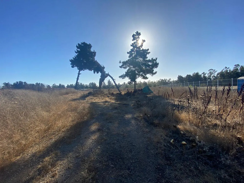 Se Vende Parcela De 1ha En El Sector Malvilla, San Antonio