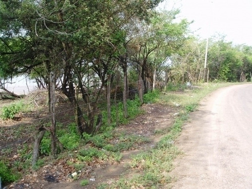Imagen 23 de 30 de Maria Eugenia Blanco Vende Terreno En Morrocoy, Falcon 386942