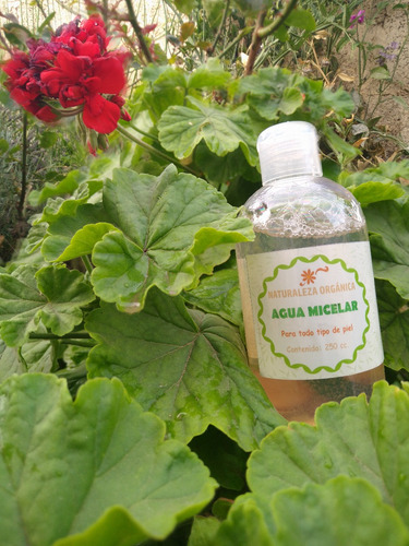 Set Cremas Nutritivas De Día Y De Noche + Agua Micelar