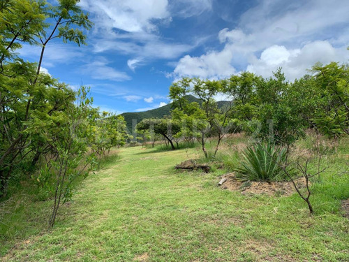 Lote 4 En Venta En San Andrés Huayapam ¡refugio Natural Entre Montañas!