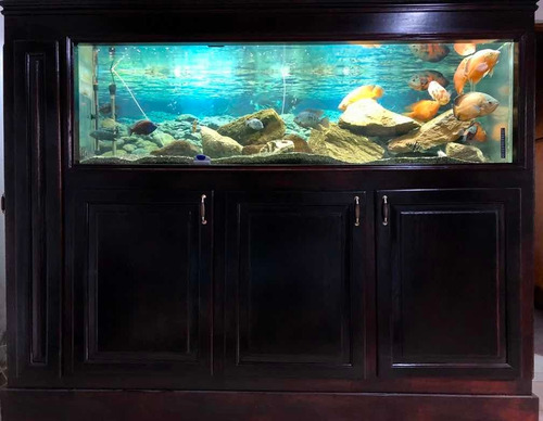Acuario Pecera Completo