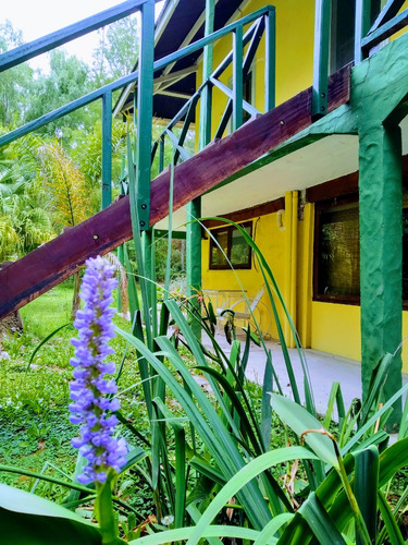 Histórica Casona De Familia Thompson En Alquiler En Delta Del Tigre. 8 Suites Tipo Hotel, Alojamiento Para 20 Personas Cómodas. Piscina, Terrazas Sobre El Arroyo. Tranquilidad Total. Paz.