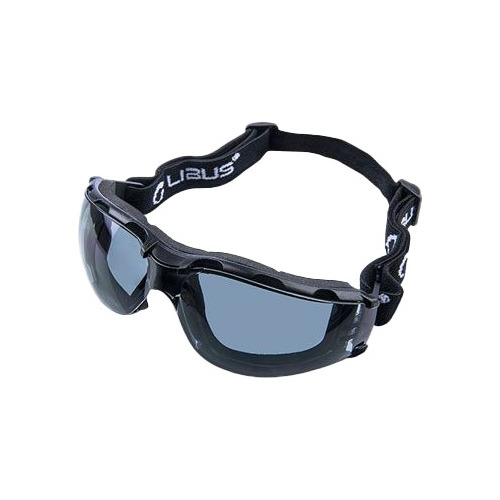 Libus Lentes Goggle Gris Espuma Soft Eco Sport Seguridad