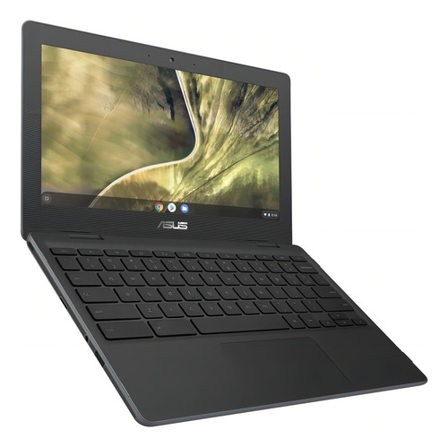 Laptop Asus Chromebook C204 11.6hd Celeron N4020 4gb 32g /v Color Negro