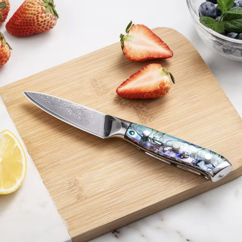 Cuchillo Chef Acero Damasco Japones 67 Capas Vg-10 Xituo 3,5 Cabo Natural Abalone Shell
