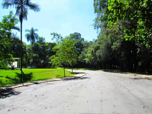 Imagem 6 de 28 de Terreno-são Paulo-alto Da Boa Vista | Ref.: Reo38411 - Reo38411