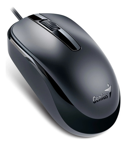 Mouse Genius Dx-120 Usb Negro