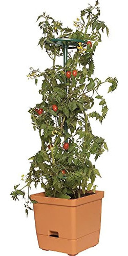 Hydrofarm Gctt Tomato Tree Con Torre De 3 Pies