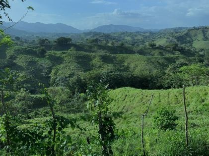 Se Vende Finca De 8,300 Tareas En Yamasa Monte Plata