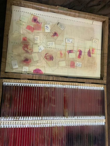 Microscopio Suift Antiguo Y Cortes Histología De Colección (Usado)