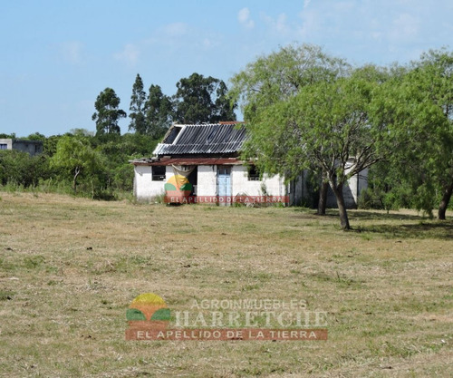 Imagen 3 de 17 de Venta De Chacra Melilla 3 Has Hermoso Paisaje.financia Propietario