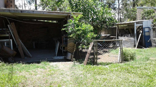 Imagem 16 de 18 de Casa À Venda No Lami - Ca0828