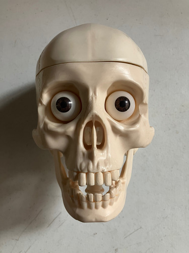 Colección: El Cuerpo Humano (sin Postes Y Sin Base) (Usado)