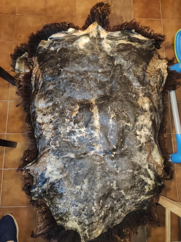 Imagen 7 de 8 de Cuero Pelego Cojinillo Negro Para Vestir Apero Recado