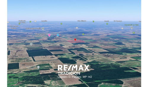 Campo Agricola En Venta - 100has Colonia J.marmol