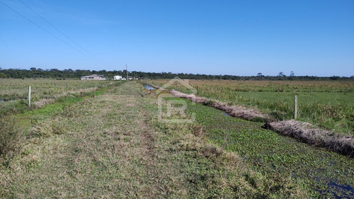 Imagem 21 de 30 de Fazenda Localizada Em Iguape- Sp Com 280 Alqueires - 262 - 71153412