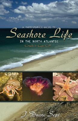 Libro A Photographic Guide To Seashore Life In The North ...