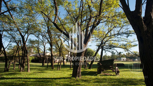 Imagen 22 de 25 de Emprendimiento Gastronomico Espacios Al Aire Libre ( Exclusivo Empresas )