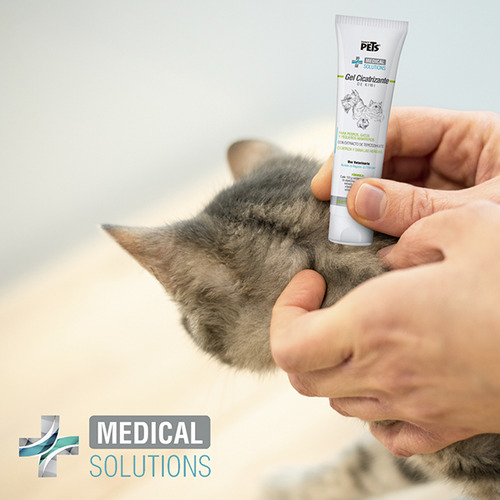 Ms Gel Cicatrizante De Kiwi P/ Perro Gato Mamíferos Pequeños