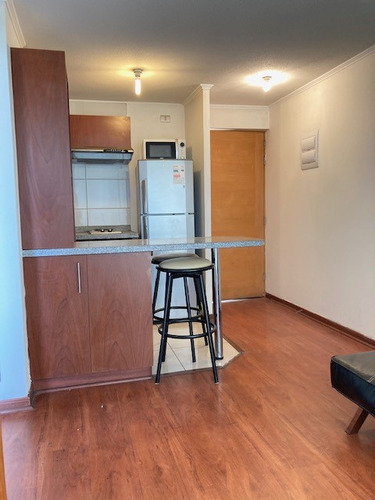 Departamento 1 Dormitorio En Suite Con Gran Terraza
