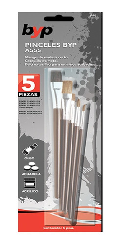 Pinceles A55 Pp5 Con 5 Piezas Byp