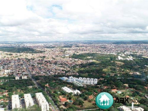 Imagem 6 de 7 de Apartamento - Ap00329 - 70985880