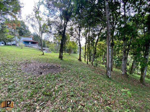 Imagem 25 de 30 de Chácara À Venda 4.600m2 Terreno, Casa 485m2 Piscina Estrada Julio Rocha Bairro Do Monjolo Em Juquitiba - Sp - Ch07787 - 70289503