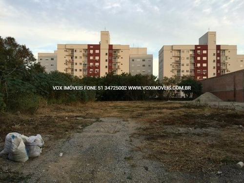 Imagem 8 de 15 de Terreno - Fatima - Ref: 46489 - V-46489