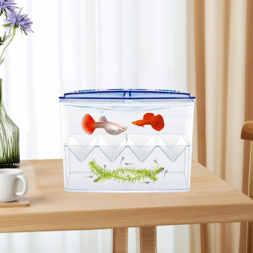 Caja De Fácil Uso De La Caja De Aislamiento De Peces
