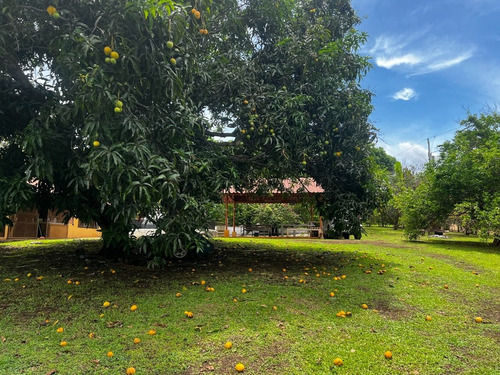 Imagen 4 de 30 de Preciosa Quinta-finca En Labrador De San Mateo De Alajuela, Todos Los Servicios