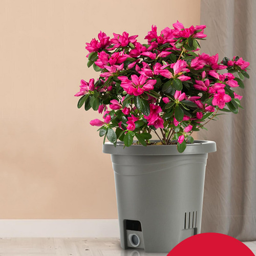 Maceta Para Plantas, Maceta Duradera Para Verduras, Fresas,