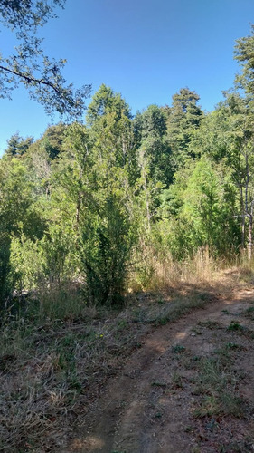 Parcela De 5000m2 A Orilla De La Ruta 206 Valdivia-paillaco