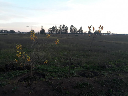 Sitio K-611/sector Altos De Lircay