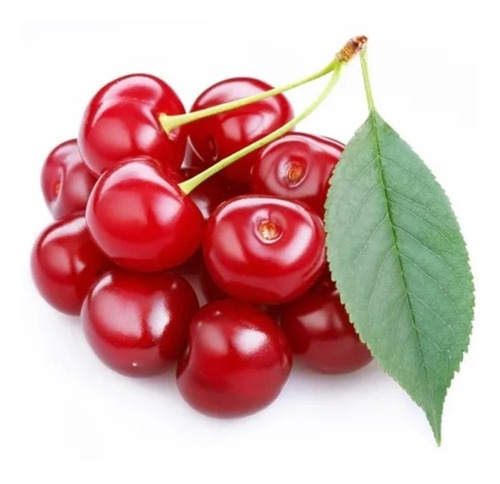 Imagem 1 de 10 de Frete Grátis Cereja Americana / Cranberry - Sementes Fruta
