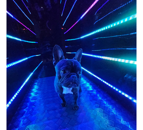 Tunel Infinito - Fotos Y Videos Para Tu Evento