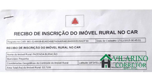 Imagem 3 de 3 de Fazenda Para Gado No Vale Do Rio Doce - 3100