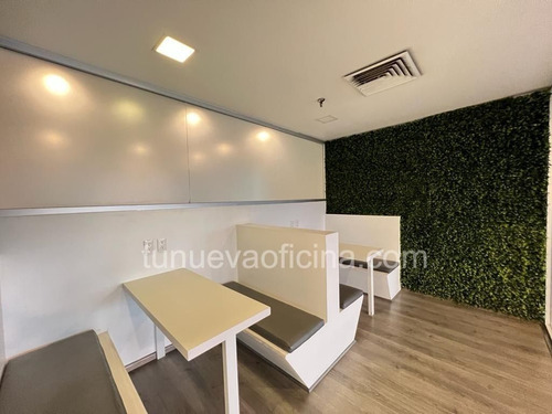 Renta Oficina 355m2 Acondicionada -av.insurgentes,álvaro Obregón-