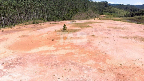 Imagem 4 de 11 de Terreno Para Venda - Itajaí - 121693